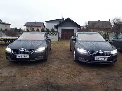 Auto Zastępcze z OC Sprawcy